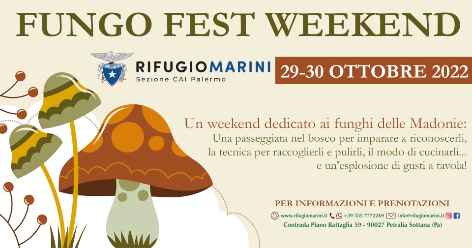 Fungo Fest Weekend 