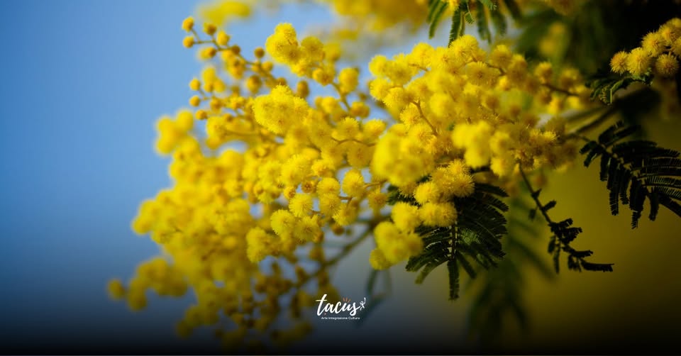 Oltre l'8 marzo a Palermo